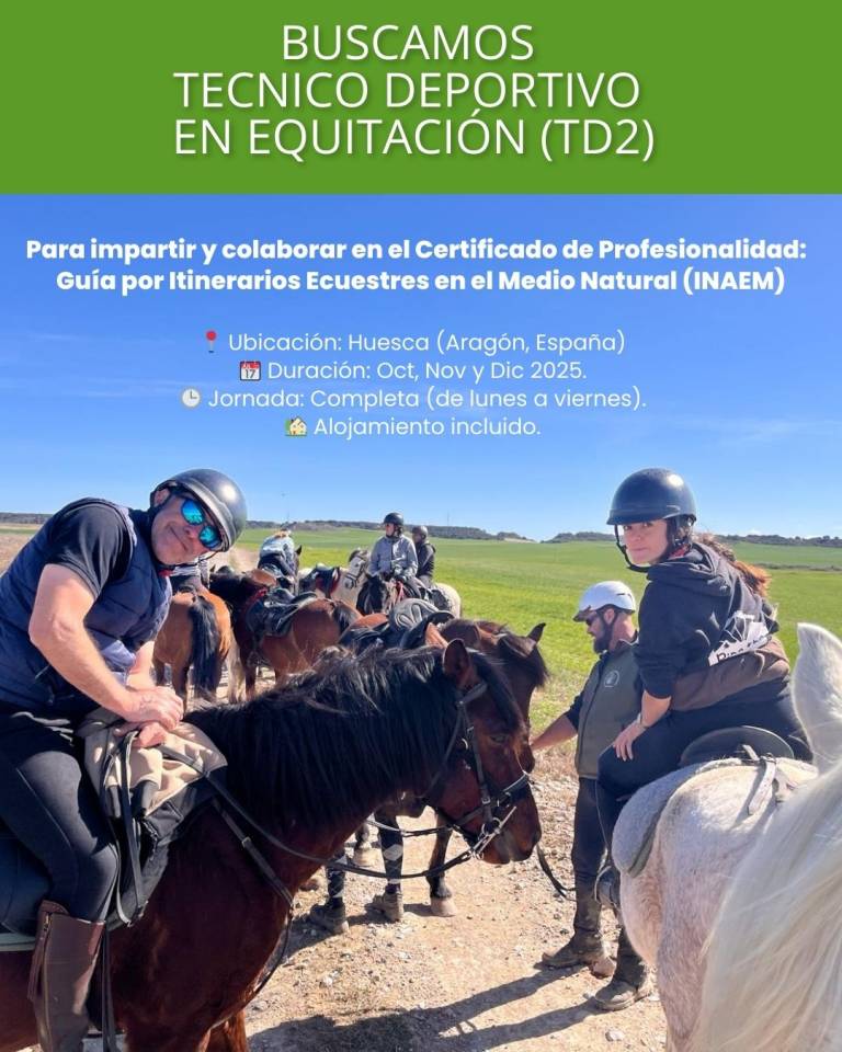 Profesor de equitación