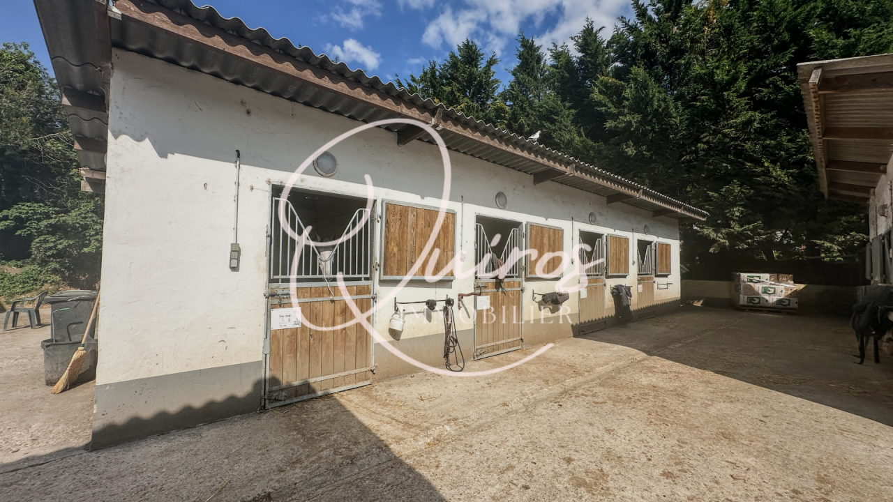 Centro ecuestre En venta Yvelines