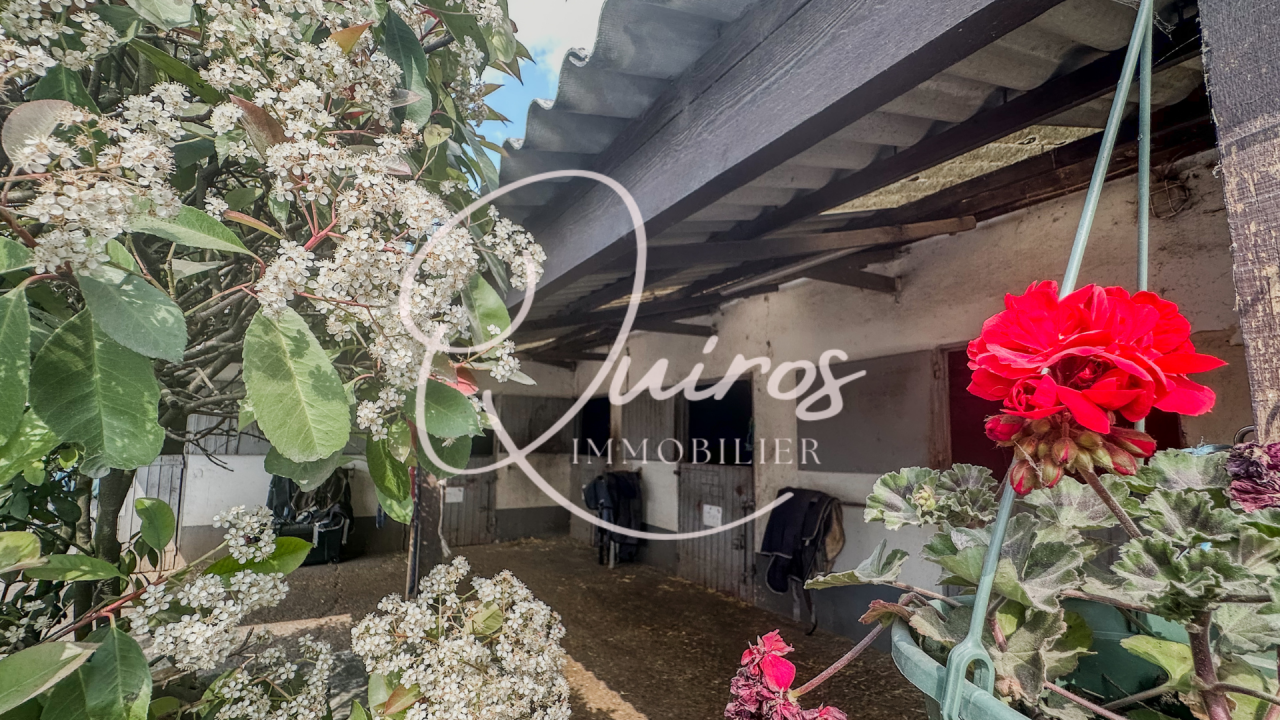 Centro ecuestre En venta Yvelines