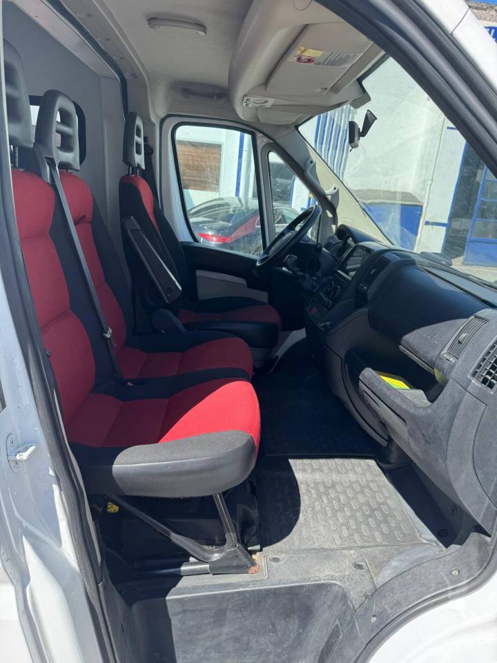 Furgoneta para caballos AP Petit  2013 De segunda mano