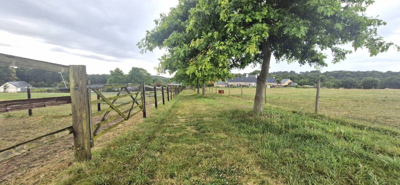 Bonita residencia ecuestre En venta Morbihan