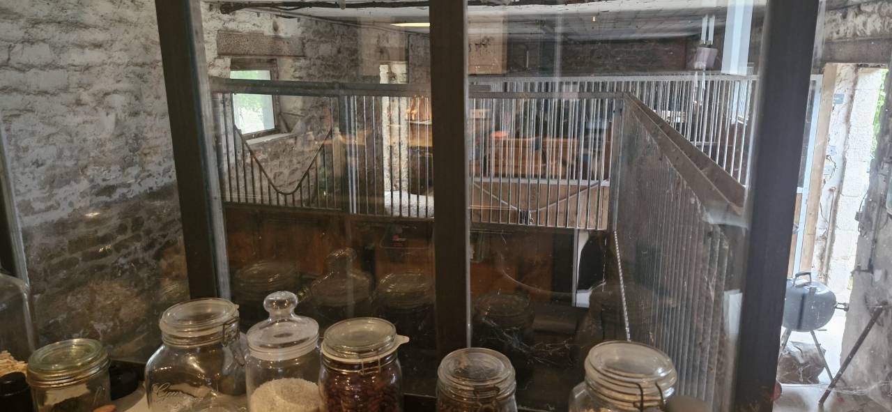 Bonita residencia ecuestre En venta Morbihan