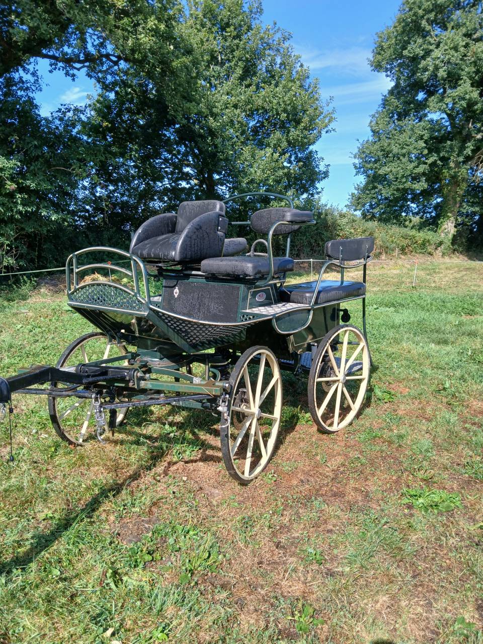 Coche enganches - Maratón ocio - Otra marca - GLINKOWSKI TR5 