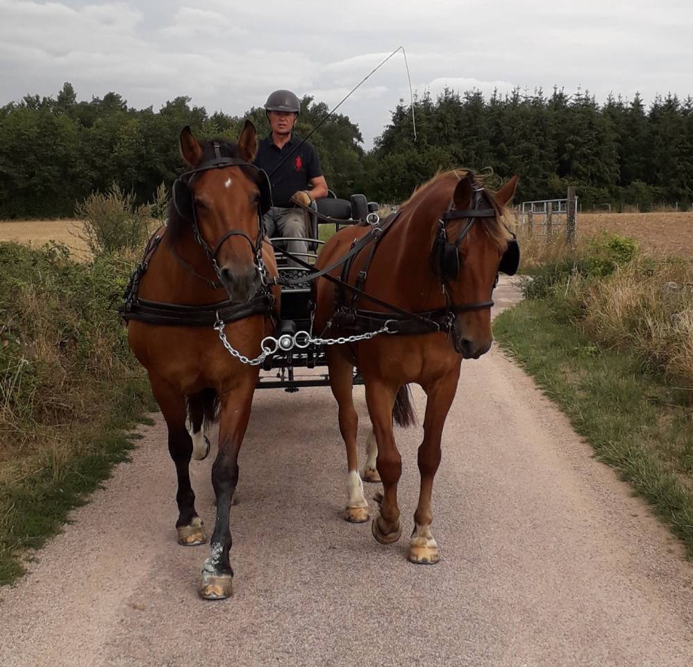 Coche enganches - Maratón ocio - Otra marca - GLINKOWSKI TR5 