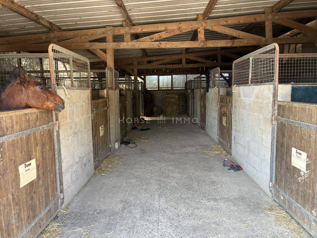 Centro ecuestre En venta Ile y Vilaine