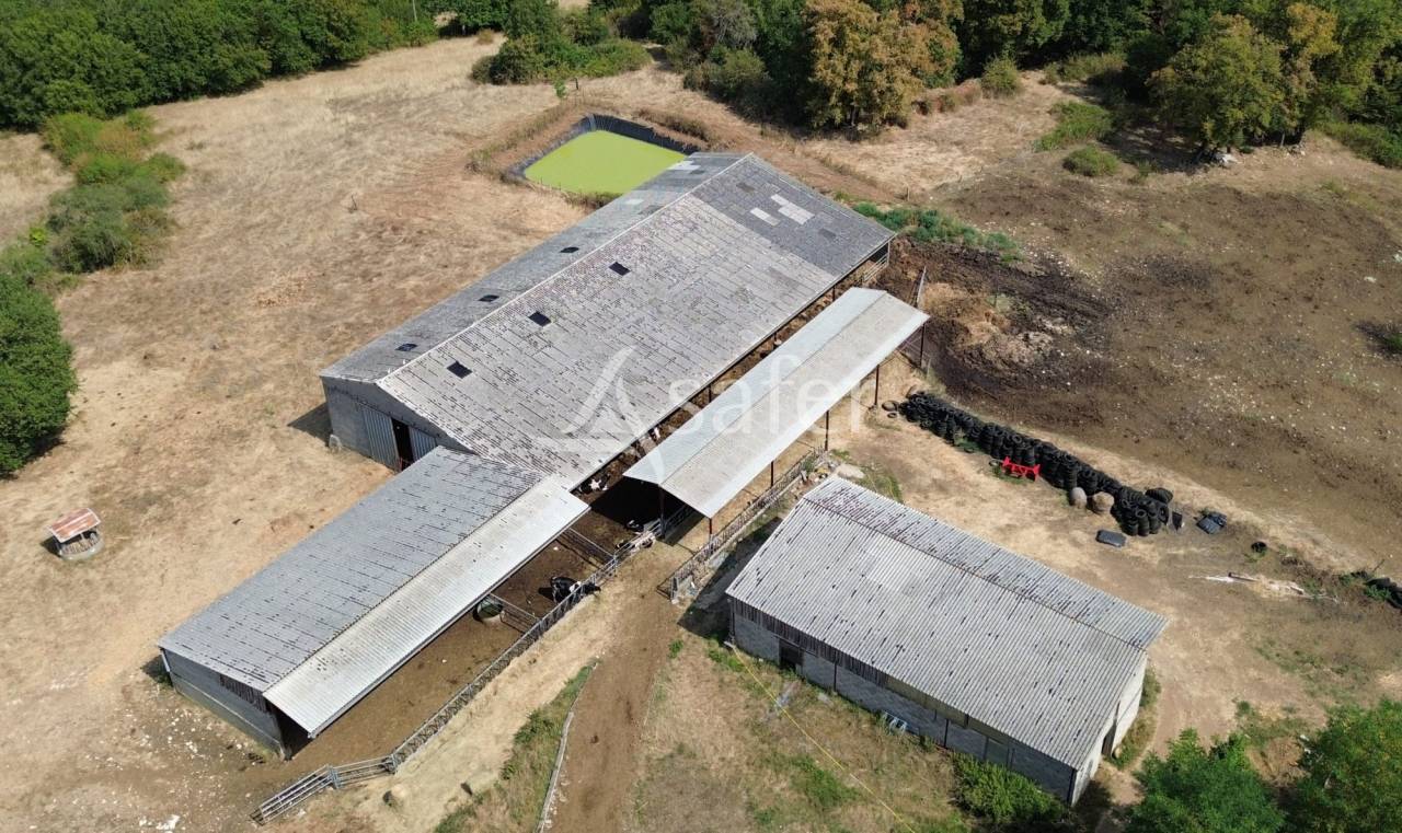 Explotación ovina En venta Dordoña