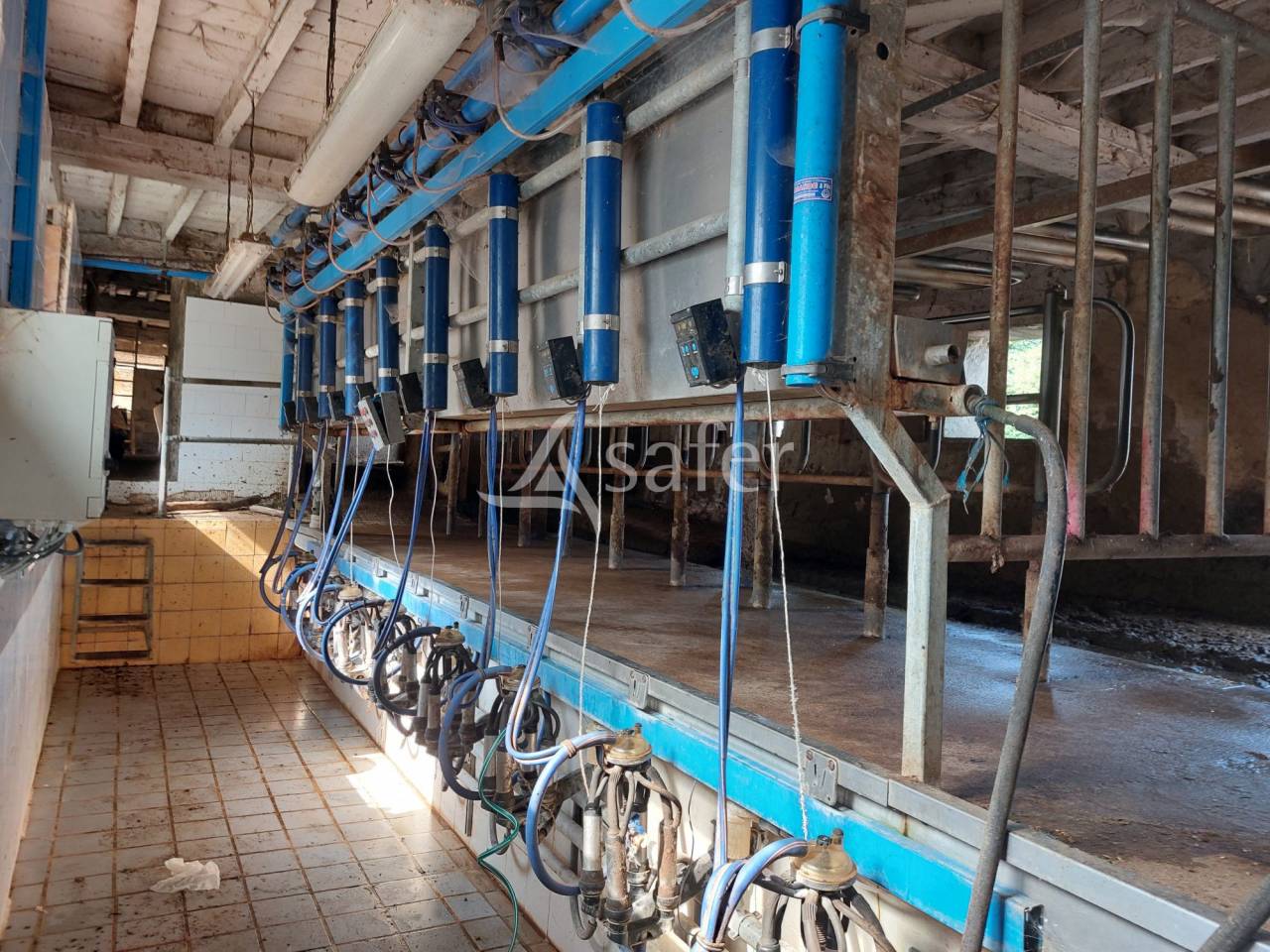 Explotación ovina En venta Dordoña