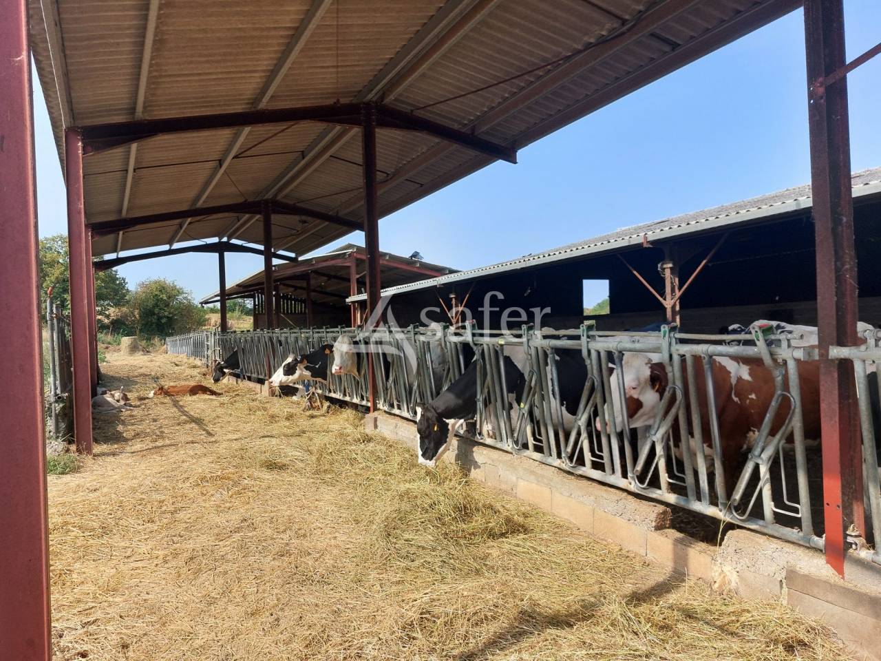 Explotación ovina En venta Dordoña