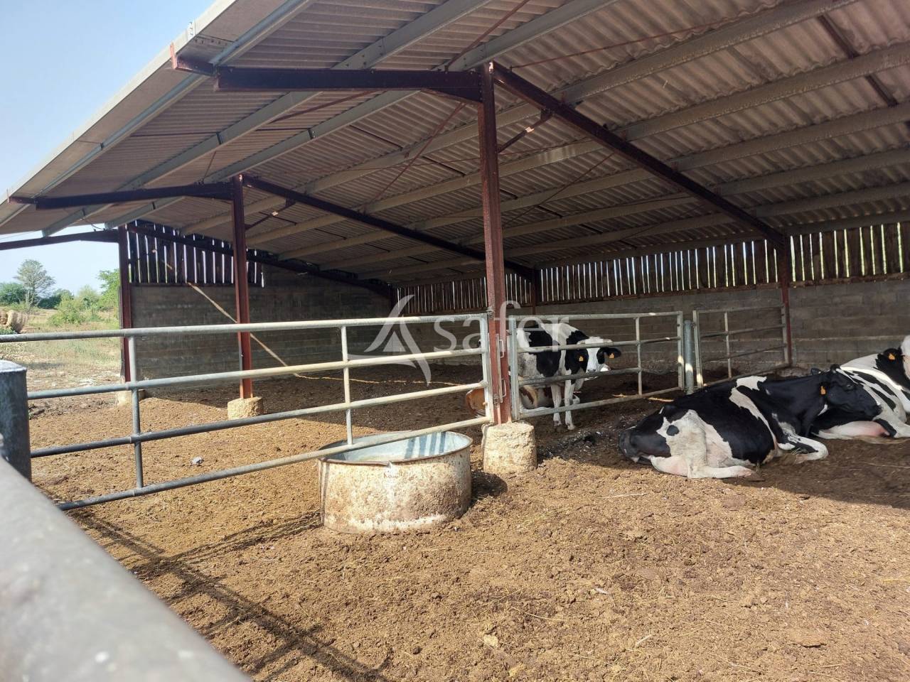 Explotación ovina En venta Dordoña