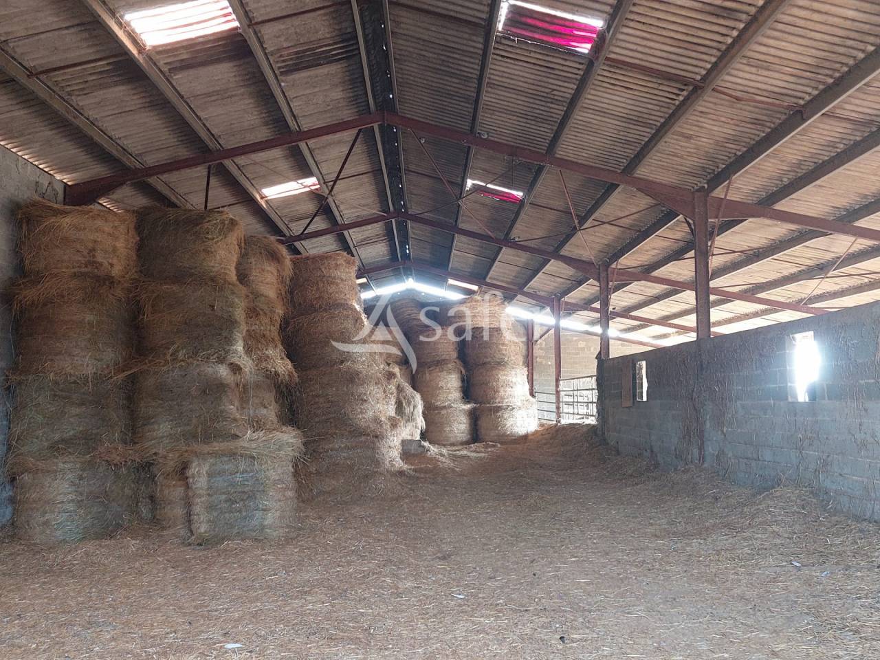 Explotación ovina En venta Dordoña