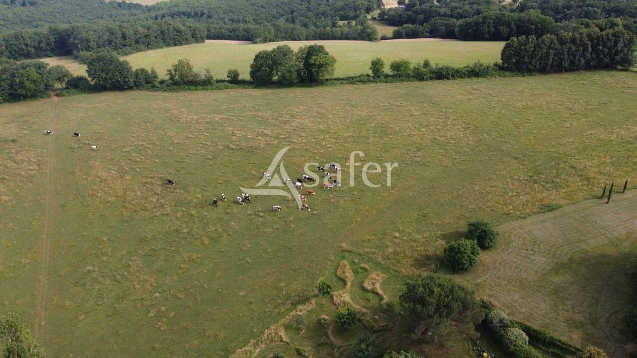 Explotación ovina En venta Dordoña