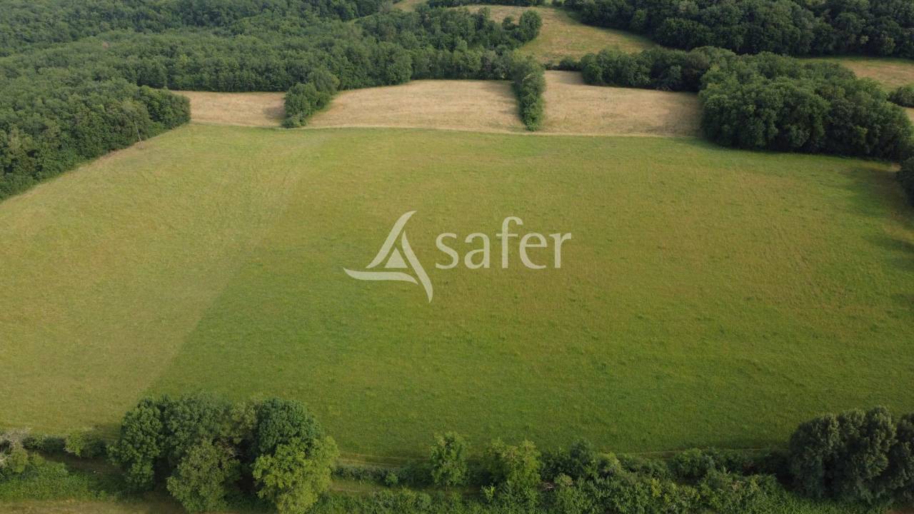 Explotación ovina En venta Dordoña