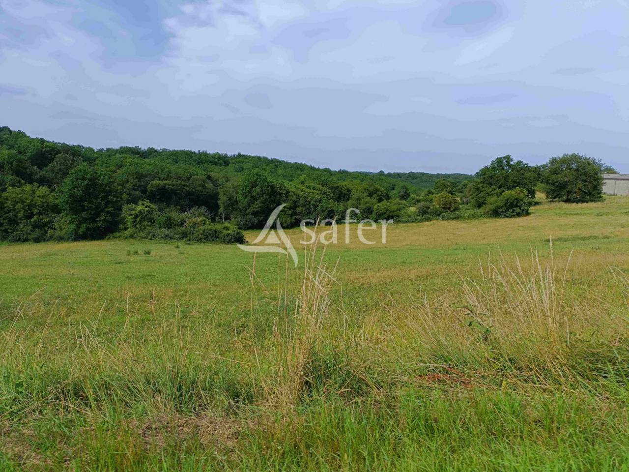 Explotación ovina En venta Dordoña