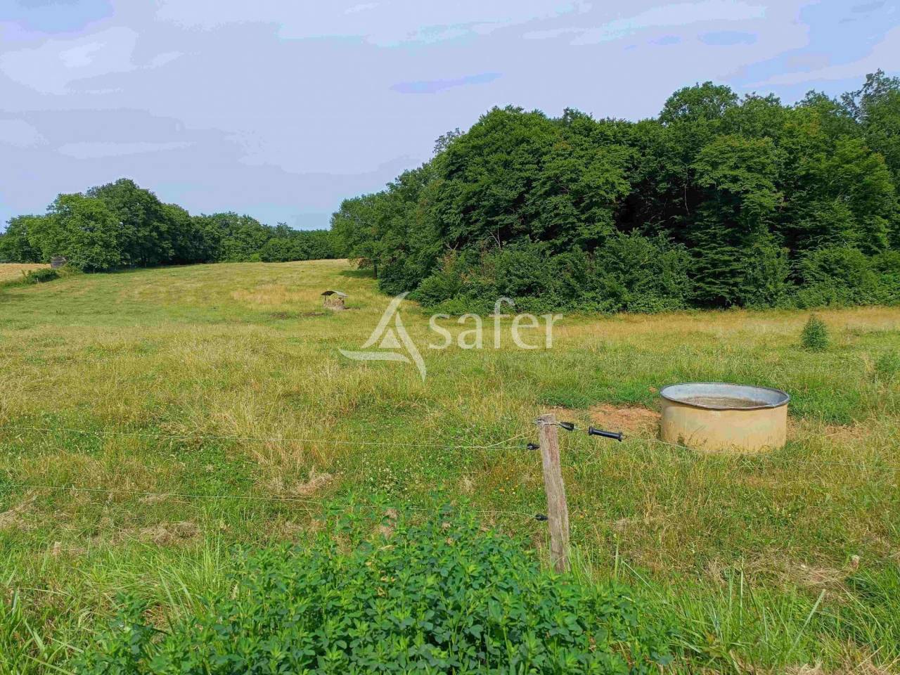 Explotación ovina En venta Dordoña