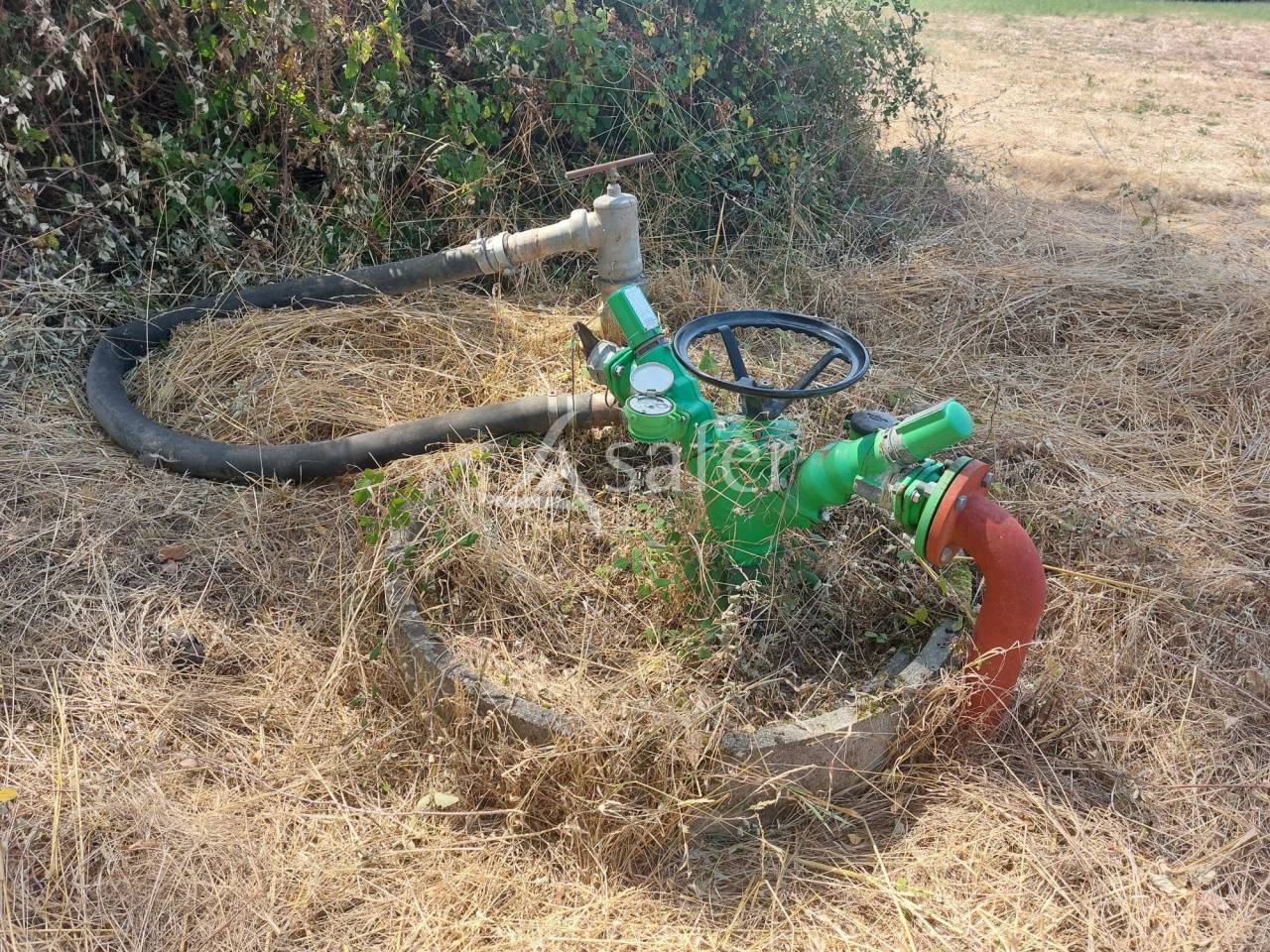 Explotación ovina En venta Dordoña