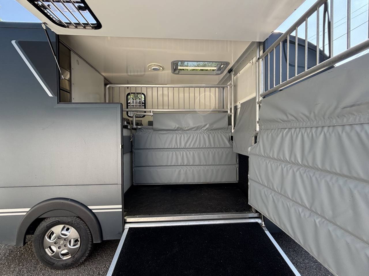 Furgoneta para caballos - Otra marca - MSG Light 2020 De segunda mano