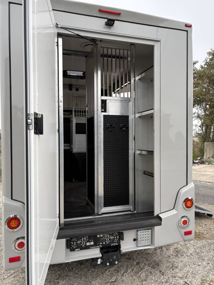 Furgoneta para caballos Renault Master 2022 Nuevo