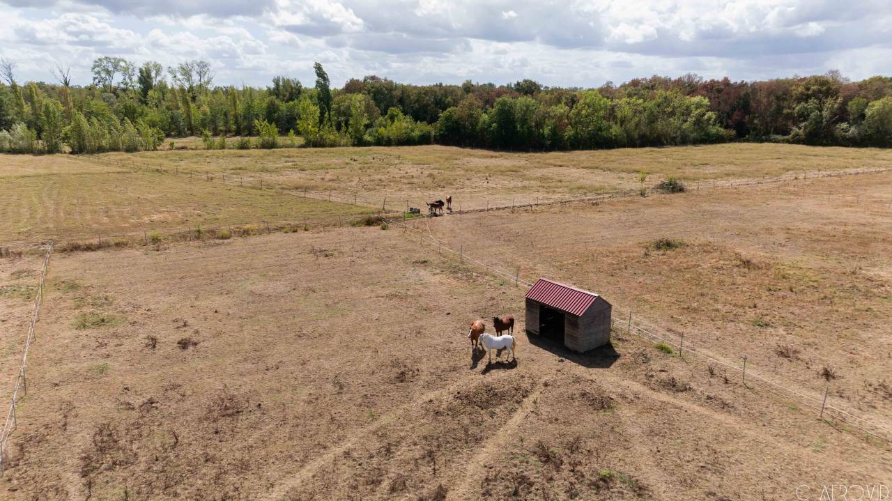 Propiedad ecuestre En venta Gironda