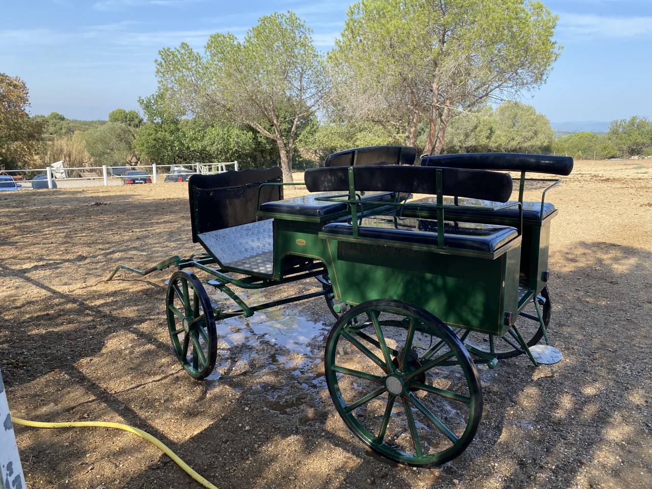 Coche enganches - Vis a vis Berrard  