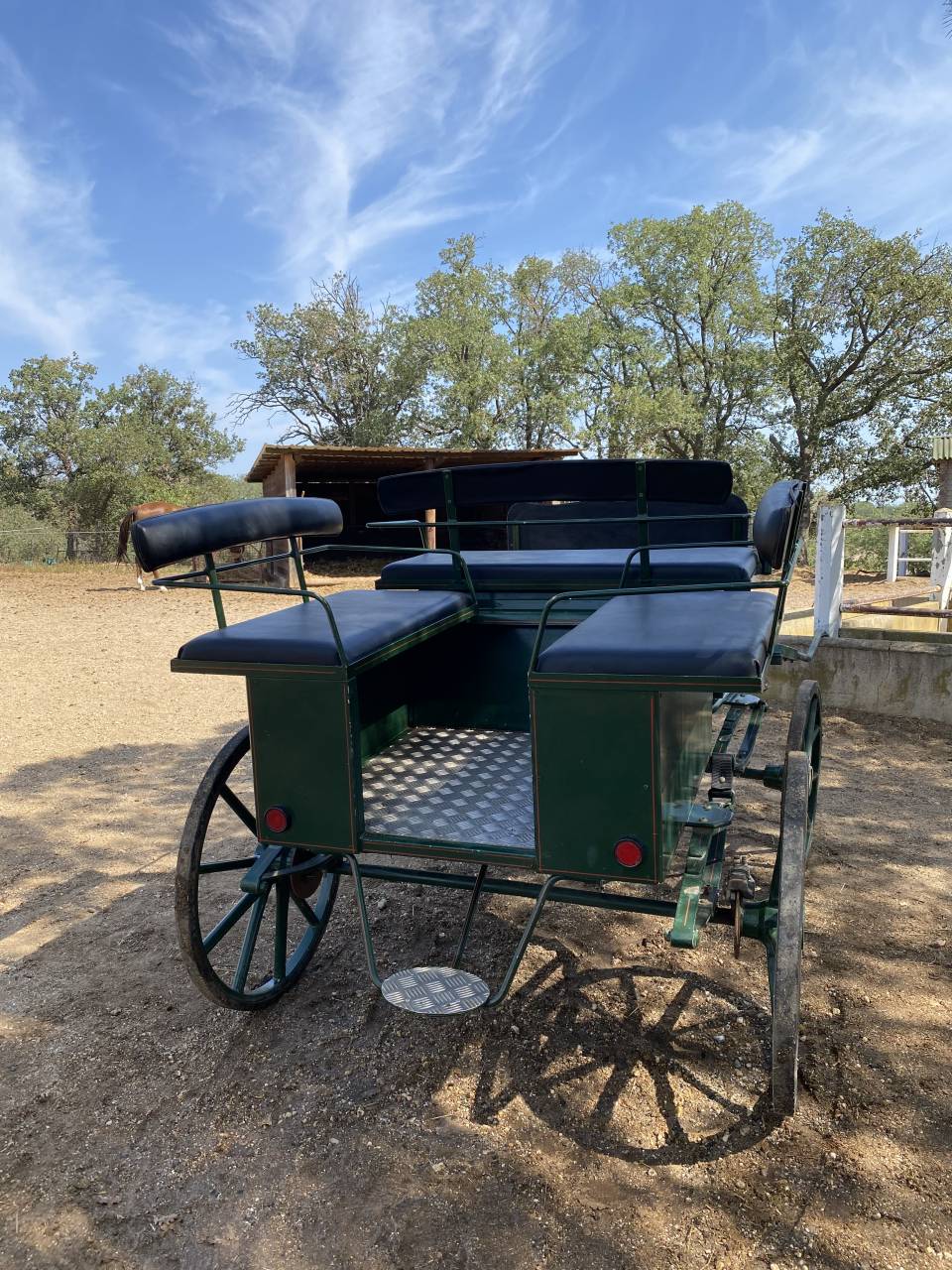 Coche enganches - Vis a vis Berrard  