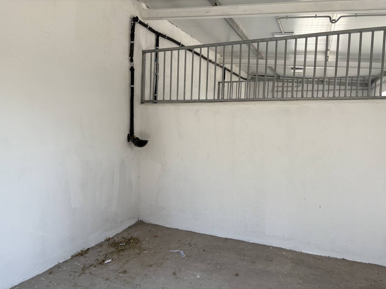 Cuidado caballos de alta calidad MADRID