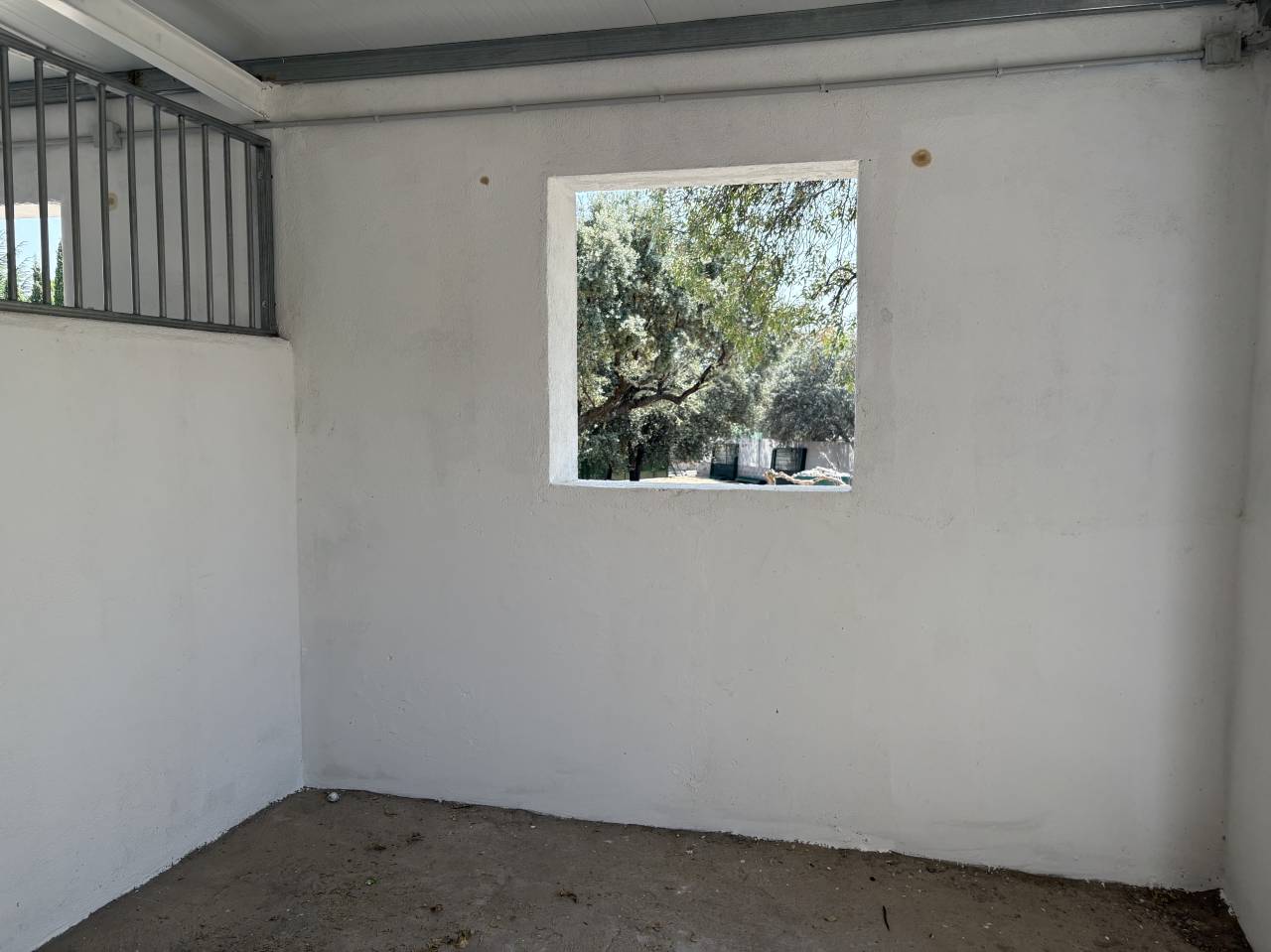 Cuidado caballos de alta calidad MADRID