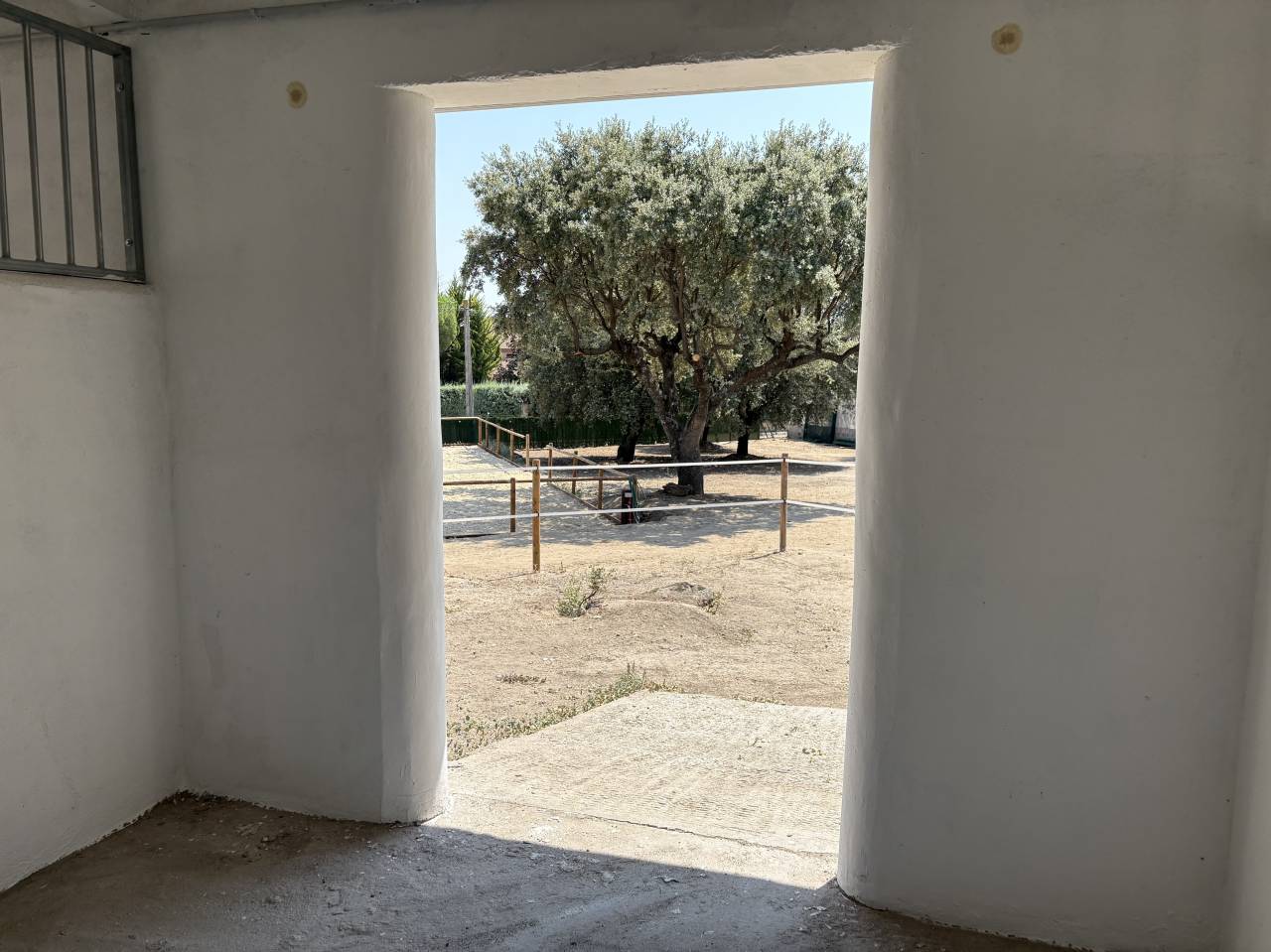 Cuidado caballos de alta calidad MADRID