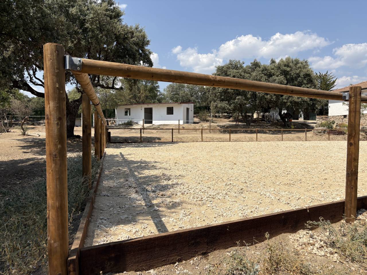 Cuidado caballos de alta calidad MADRID
