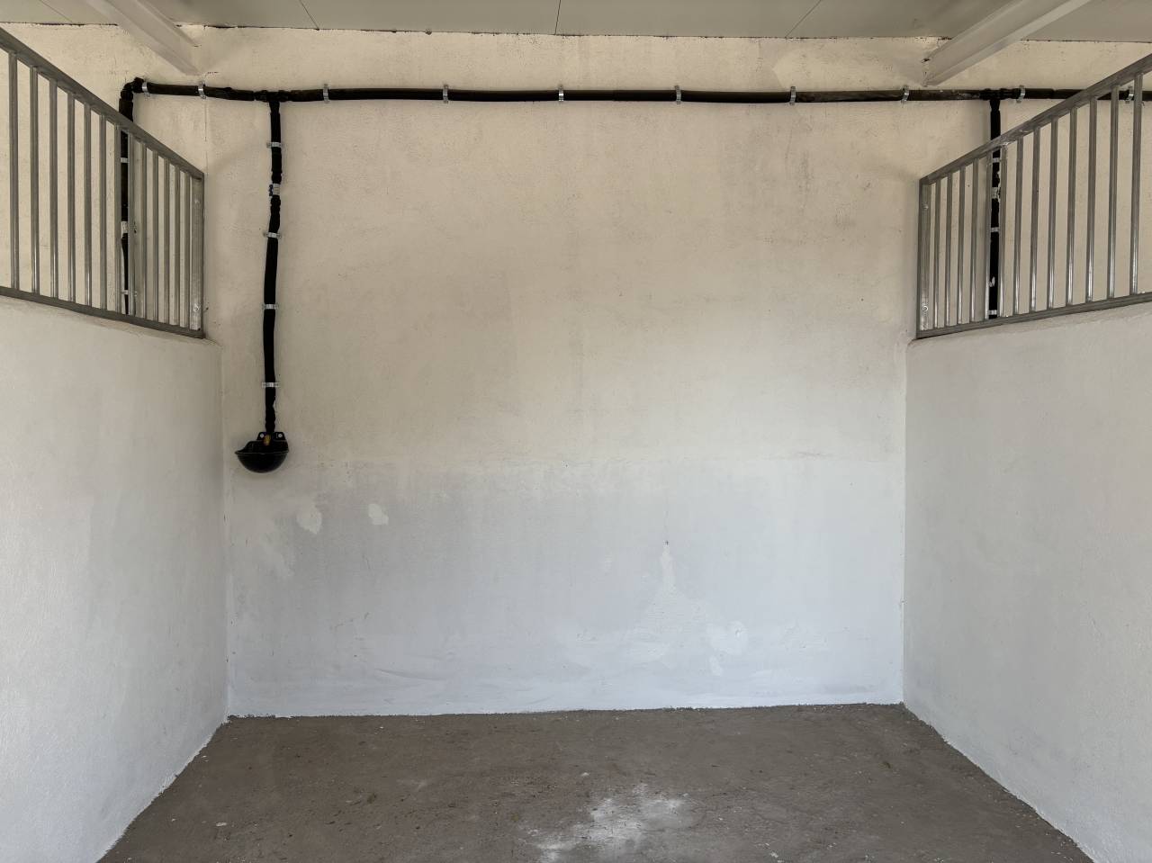 Cuidado caballos de alta calidad MADRID