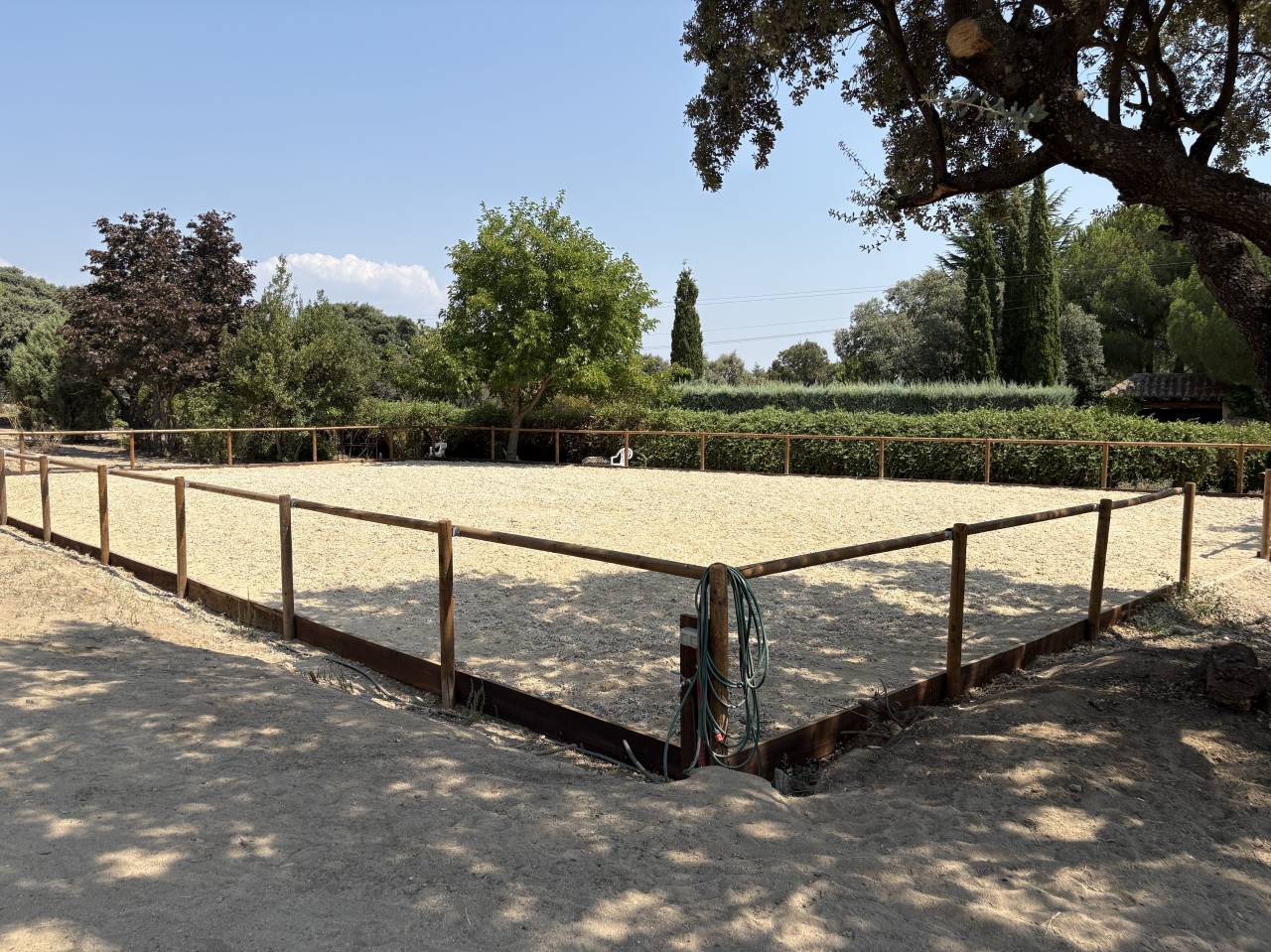 Cuidado caballos de alta calidad MADRID