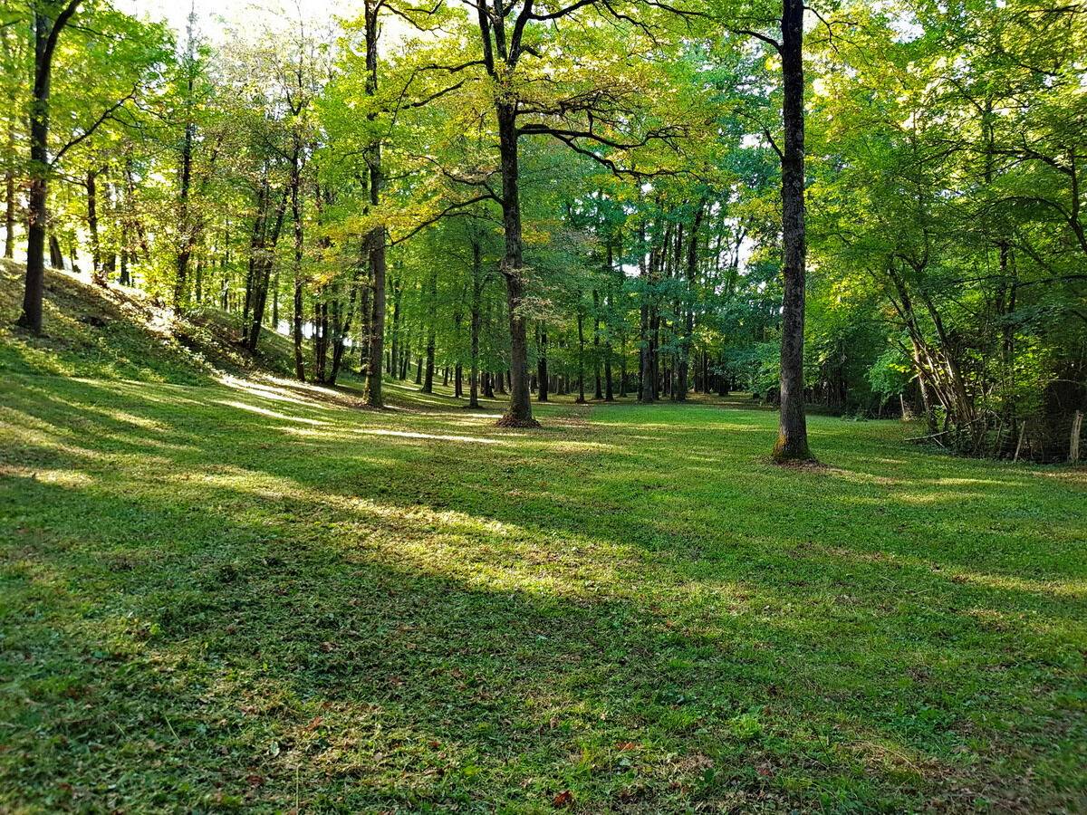 Propiedad ecuestre En venta Alto Garona