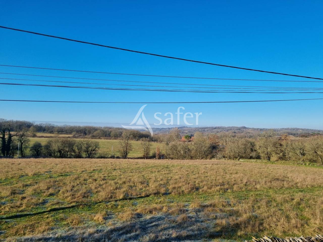 Explotación ovina En venta Lot