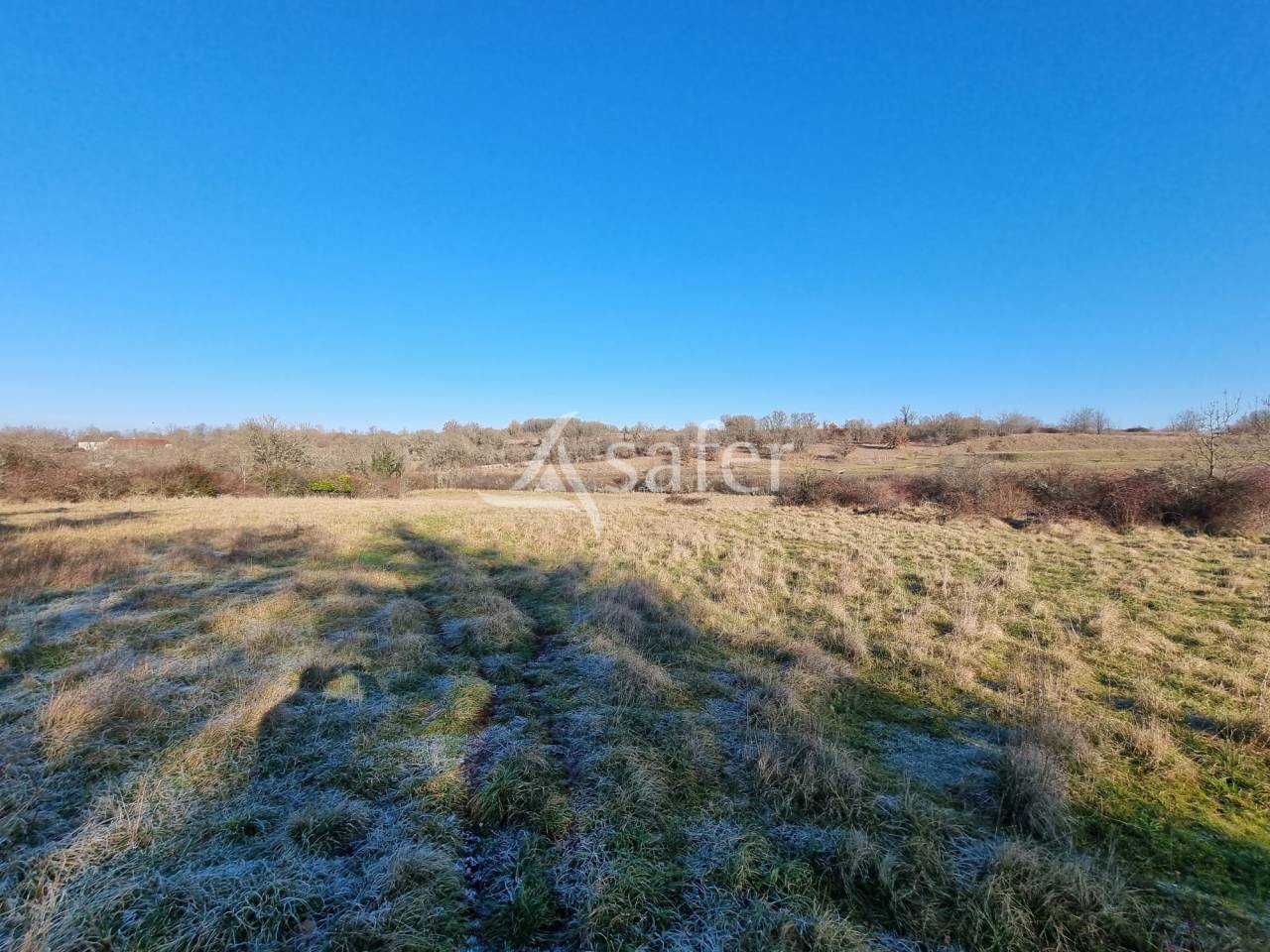 Explotación ovina En venta Lot