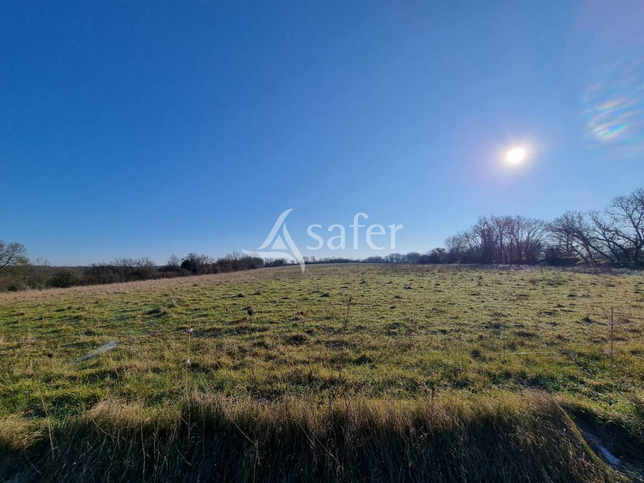 Explotaci&oacute;n ovina En venta Lot