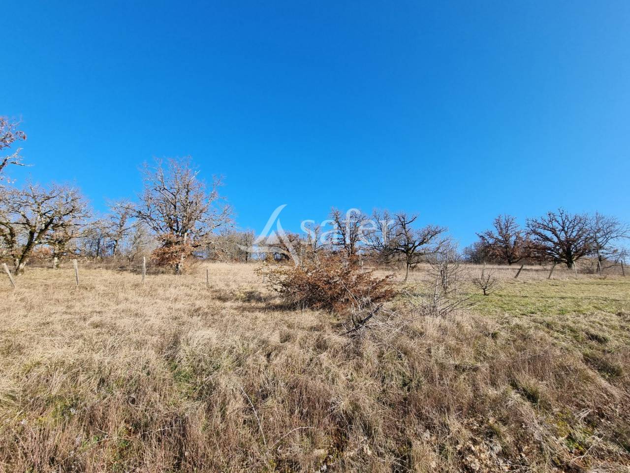 Explotaci&oacute;n ovina En venta Lot