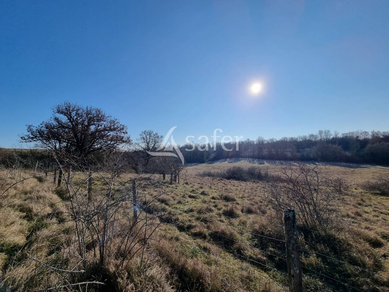 Explotaci&oacute;n ovina En venta Lot