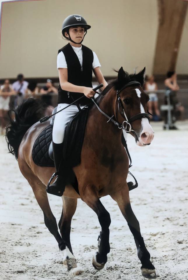 Caballo castrado PFS Poni Françés de Silla Préstamo 2019 Bayo