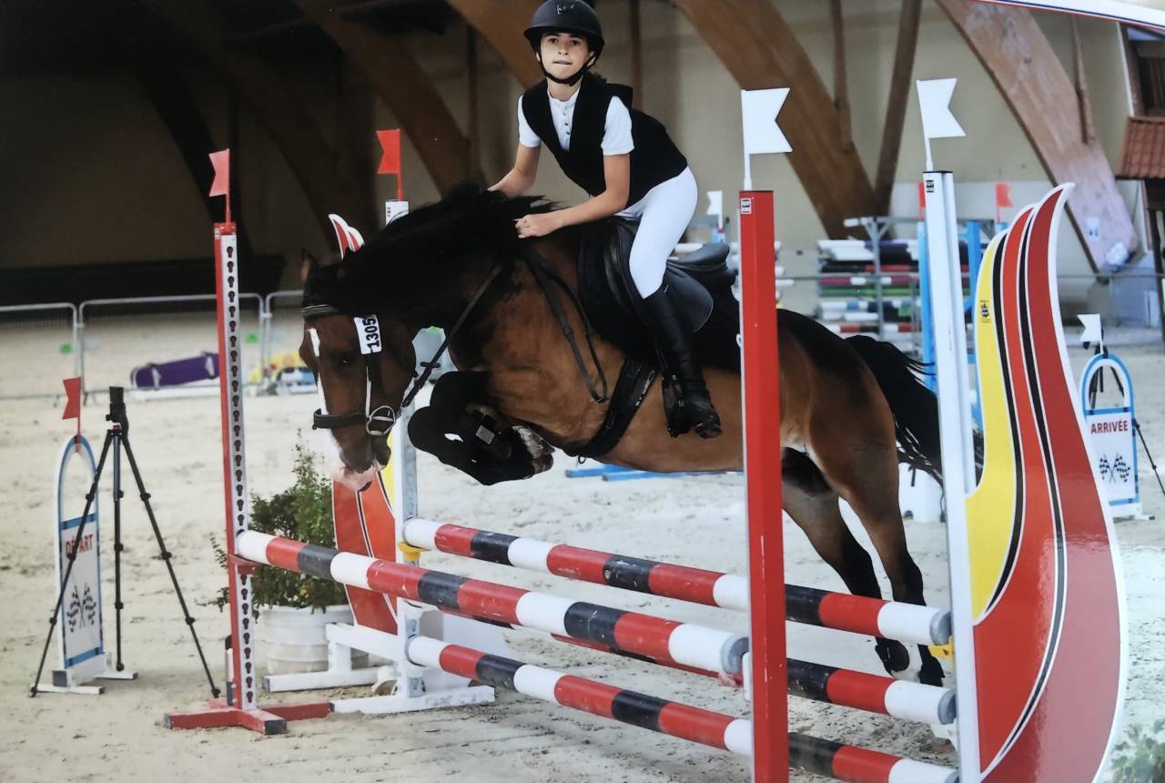 Caballo castrado PFS Poni Françés de Silla Préstamo 2019 Bayo