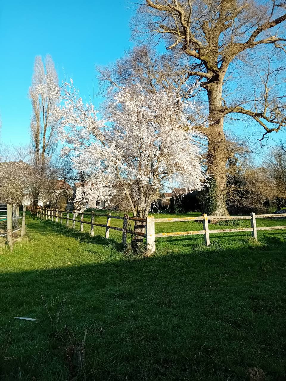 Bonita residencia ecuestre En venta Charente Marítimo
