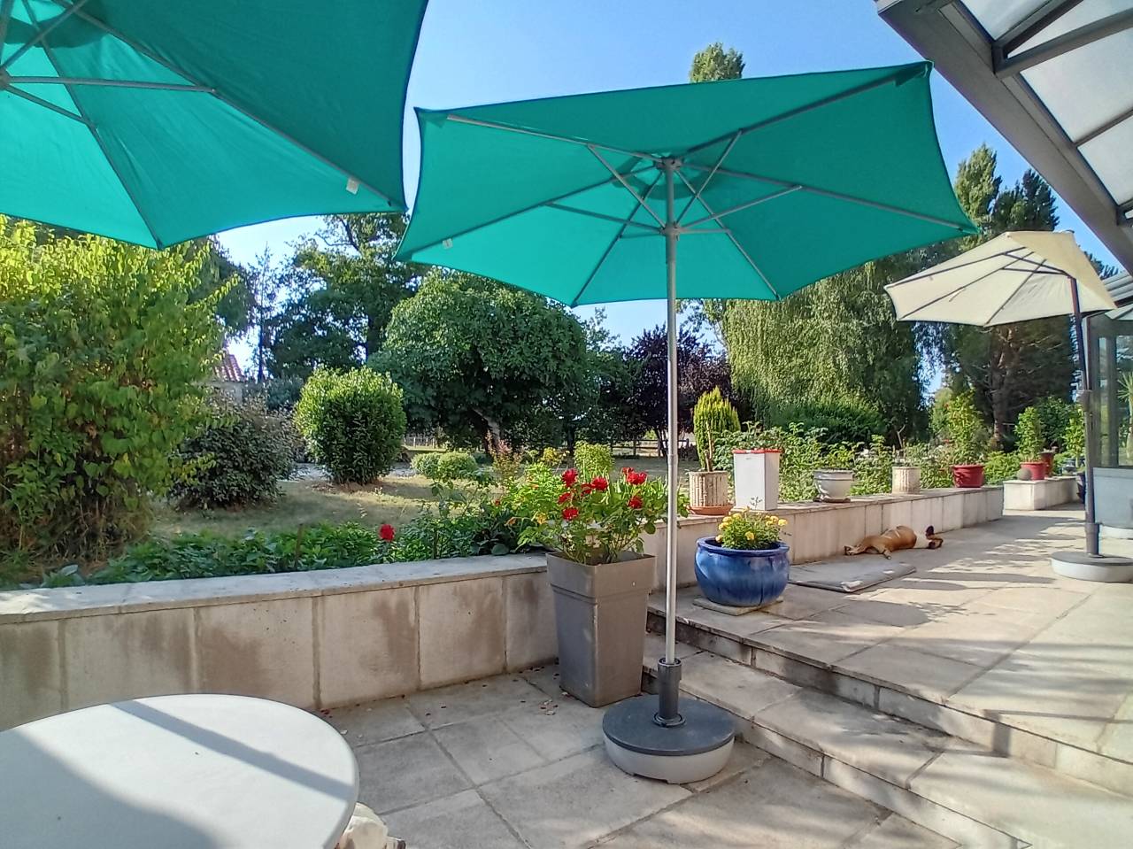 Bonita residencia ecuestre En venta Charente Mar&iacute;timo