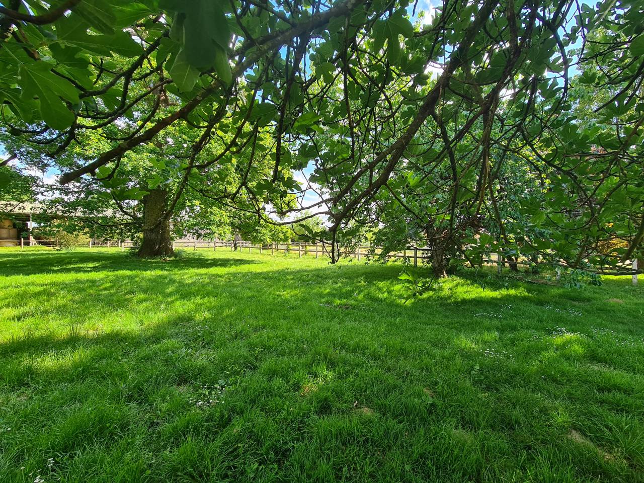 Bonita residencia ecuestre En venta Charente Mar&iacute;timo