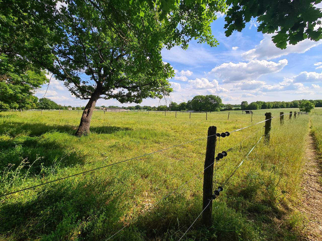 Bonita residencia ecuestre En venta Charente Mar&iacute;timo