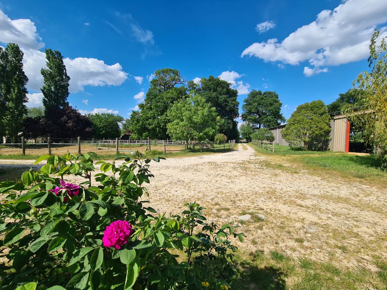 Bonita residencia ecuestre En venta Charente Mar&iacute;timo