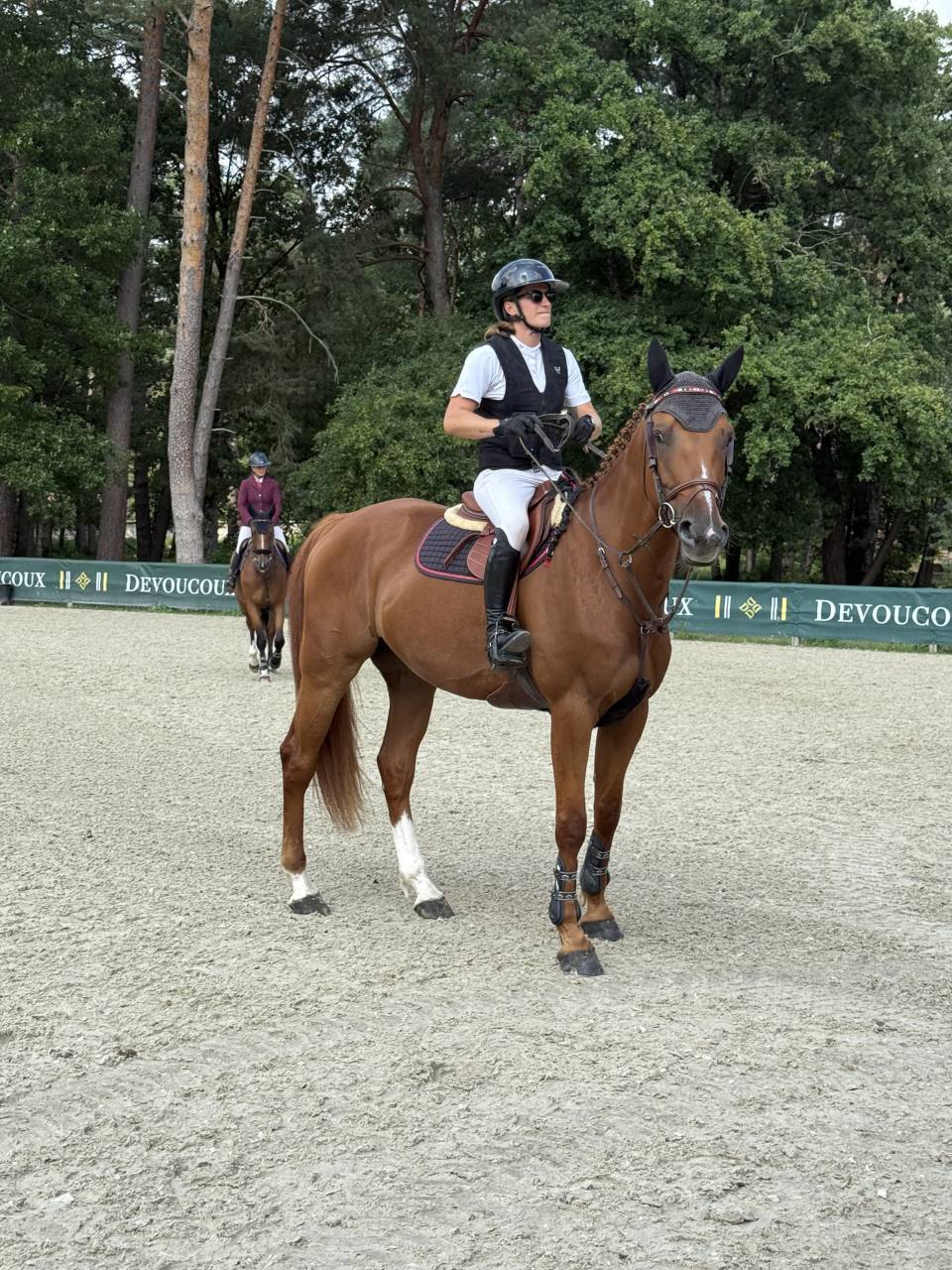 Caballo castrado Silla Francés En venta 2019 Alazán por VIVALDI DU SEIGNEUR