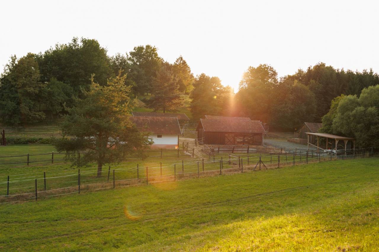 Propiedad ecuestre En venta 