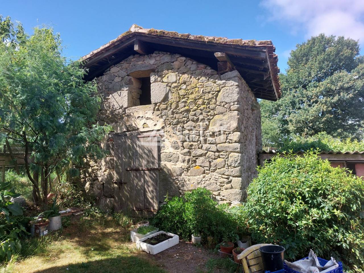 Explotación ovina En venta Dordoña