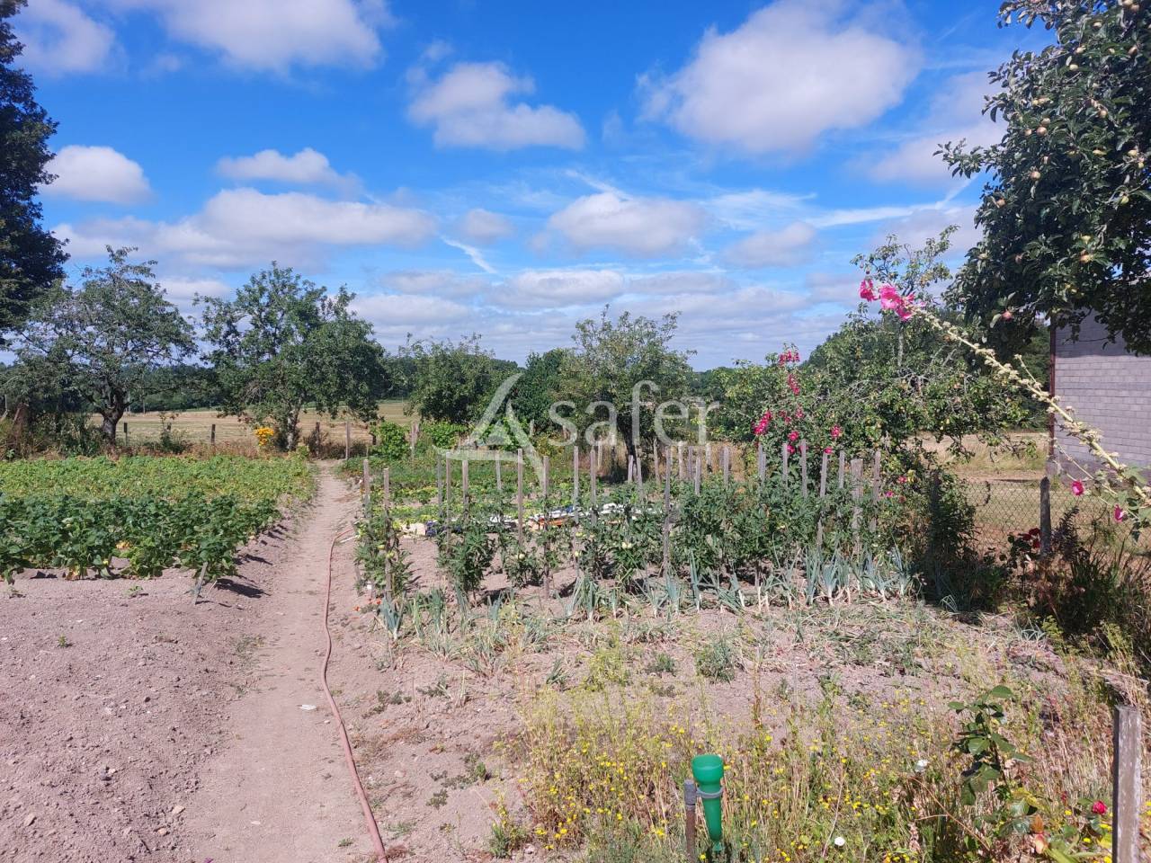 Explotación ovina En venta Dordoña