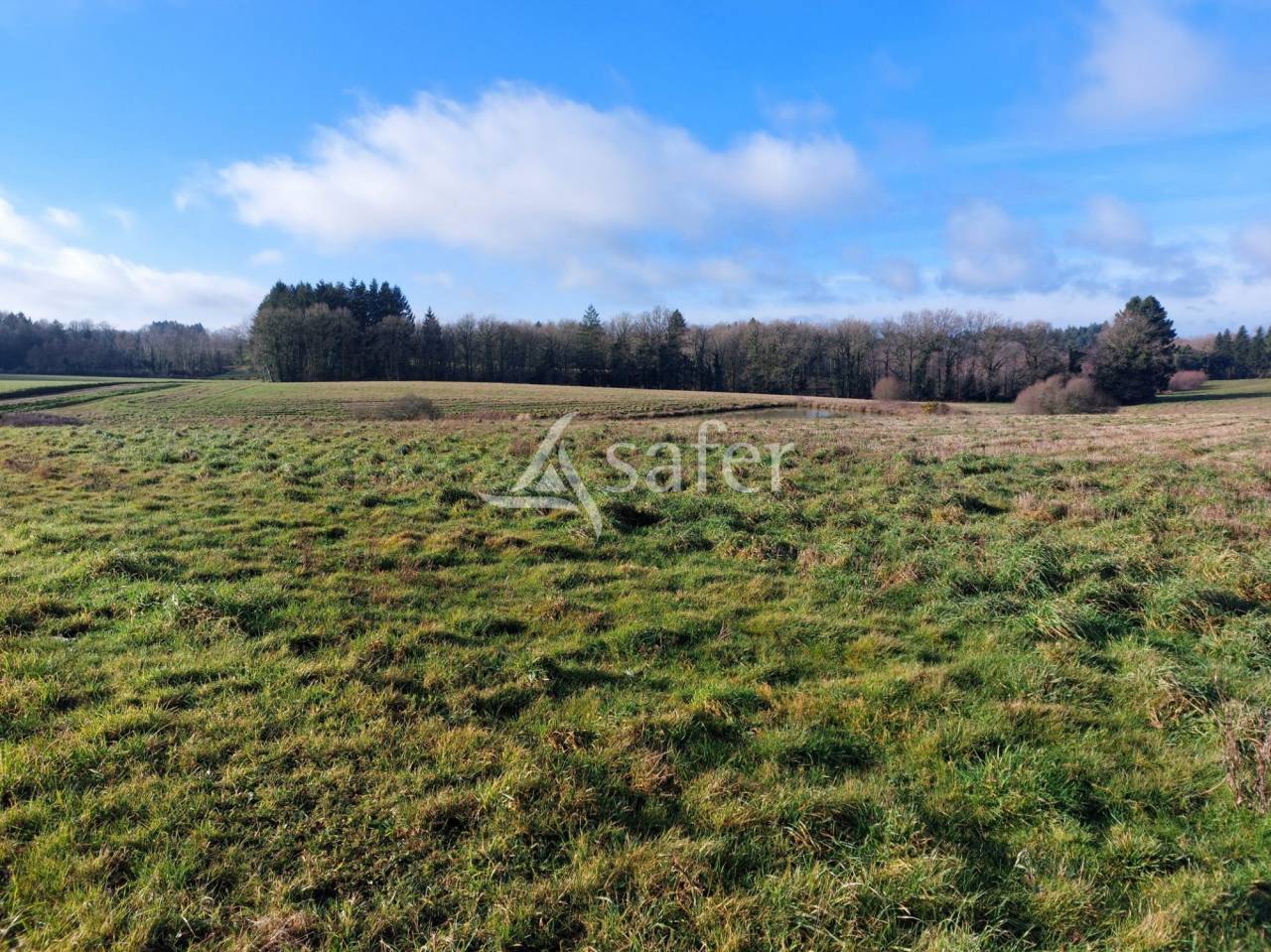 Explotación ovina En venta Dordoña