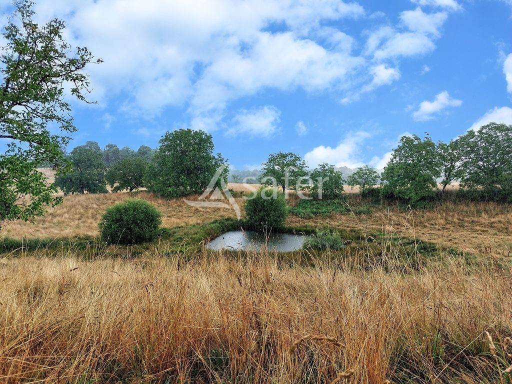 Explotación agrícola En venta Corrèze