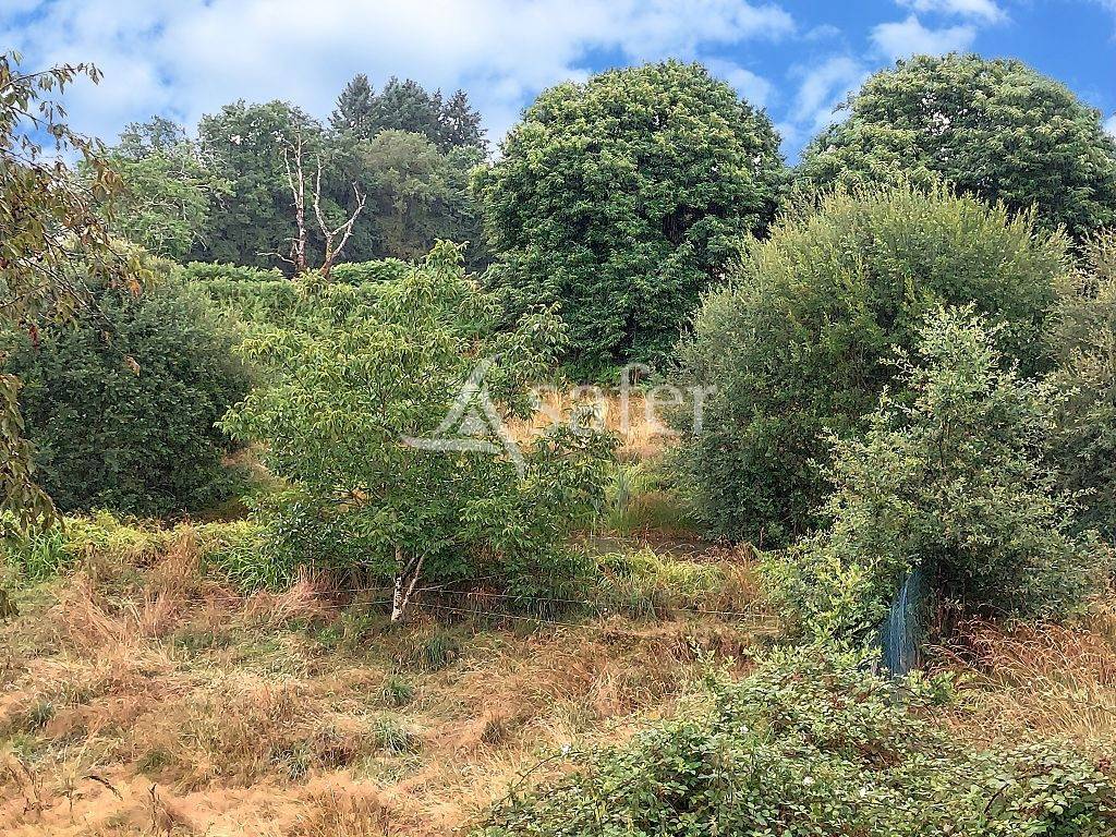 Explotación agrícola En venta Corrèze